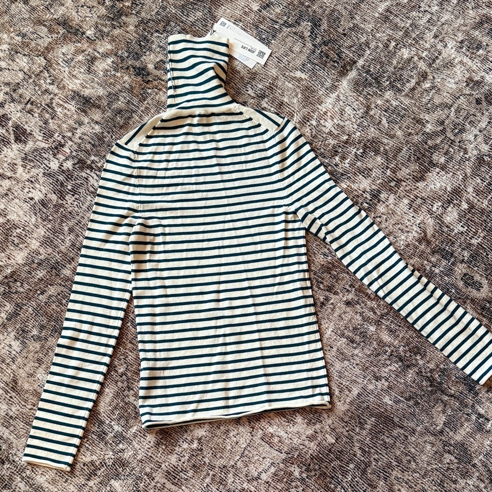 Zara Striped Turtleneck new with tags!